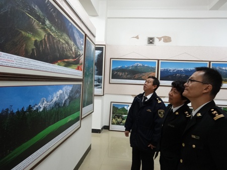 盈江海关组织人员参观云南生物多样性图片展