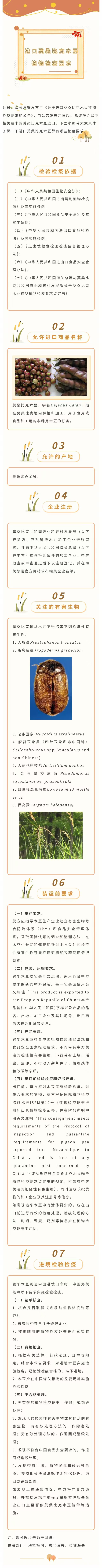 公(gōng)告解讀丨關于進口莫桑比克木(mù)豆植物(wù)檢疫要求的公(gōng)告(0914)