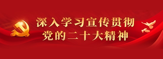 深入学习宣传贯彻党的二十大精神