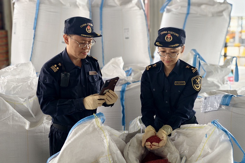 惊蛰春耕忙 种子通关畅（图）