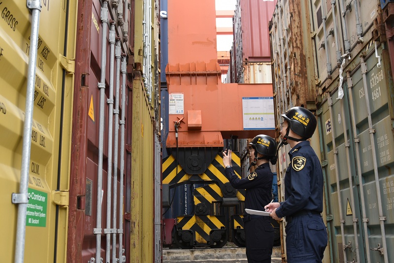 “组合港”赋能湾区制造加速出海（图）