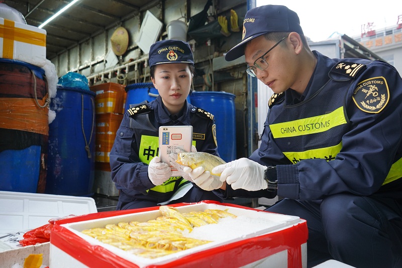 “三联三同”加速粤港澳大湾区规则机制“软联通”（图）