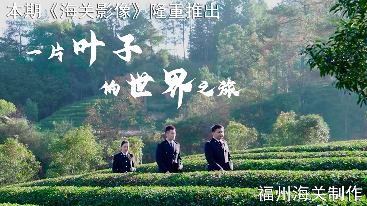 一片叶子的世界之旅（福州海关）
