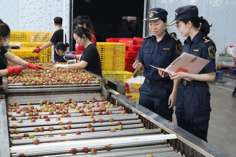 丹荔凝香出南海 商路畅达赴环球（图）