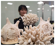 2019年海关聚焦两会