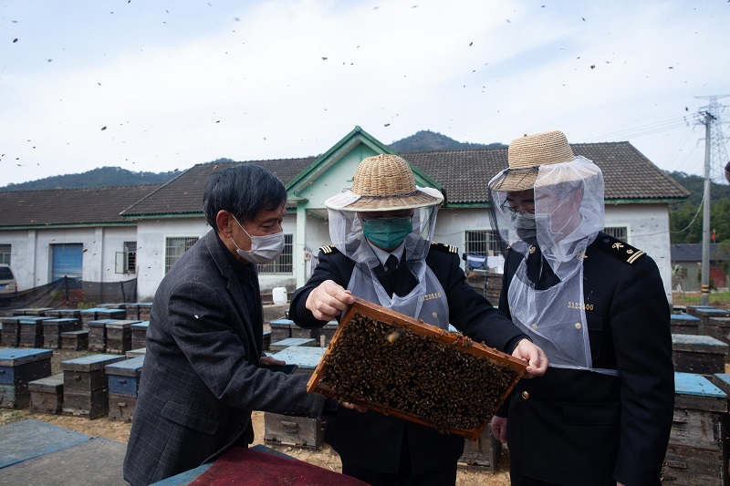 余姚海关关员到辖区某养蜂专业合作社把关问诊+++周友泉摄