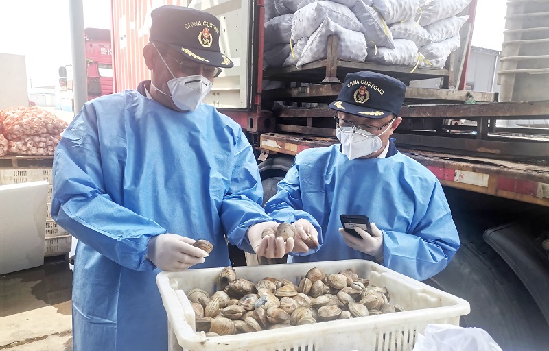 深圳市迅來通國際貨運代理有限公司
