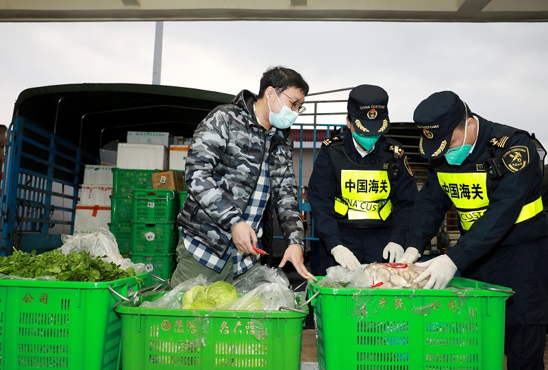 图为：拱北海关关员正在检查供澳蔬菜+俞波摄