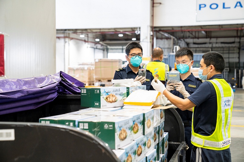 图为：深圳宝安机场海关关员对出口农产品加快验放+林立摄3.JPG