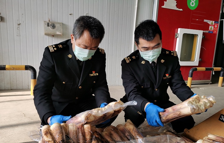 微信图片_20200213152014