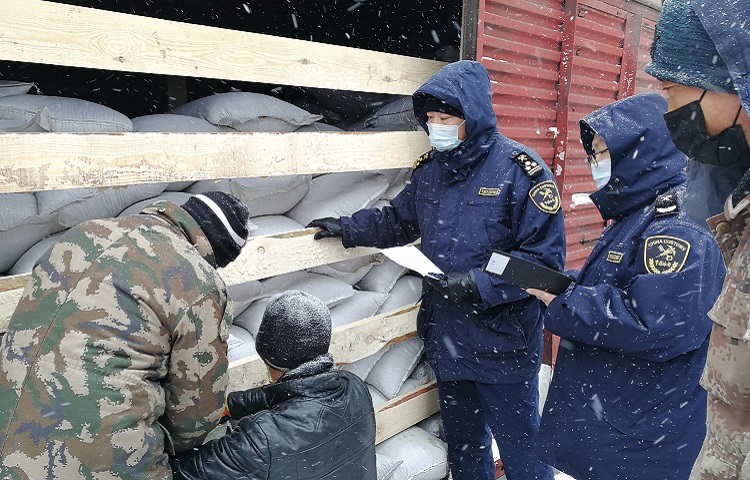 海关关员冒雪查验进口俄罗斯大豆（王博摄影）