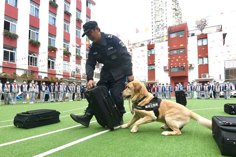 海关监管工作犬向青少年学生现场演示20210402-沪关宣摄