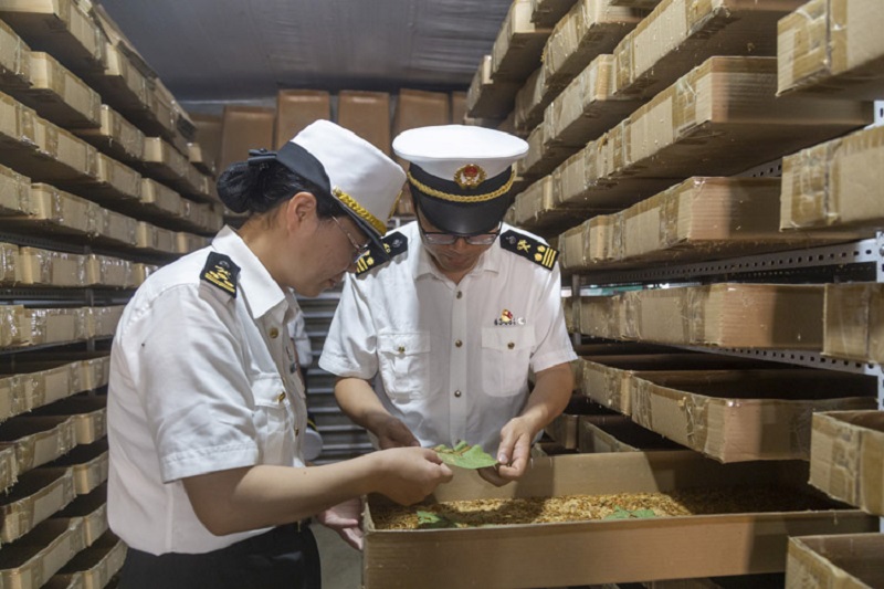 图为：泰安海关关员赴企业了解面包虫养殖情况2