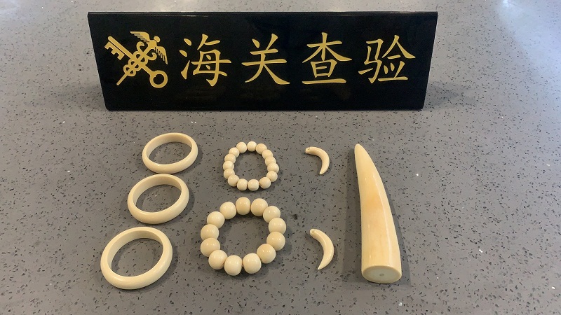 南京禄口机场海关查获疑似象牙制品8件(图)