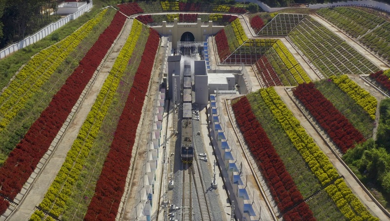 zhonglao1