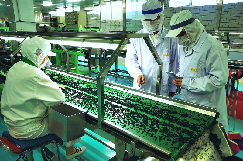 大連海關所屬旅順海關關員在轄區(qū)出口藻類企業(yè)現場調研+趙龍攝