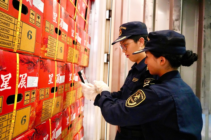 關員在磨憨鐵路口岸對進口泰國榴蓮進行檢查