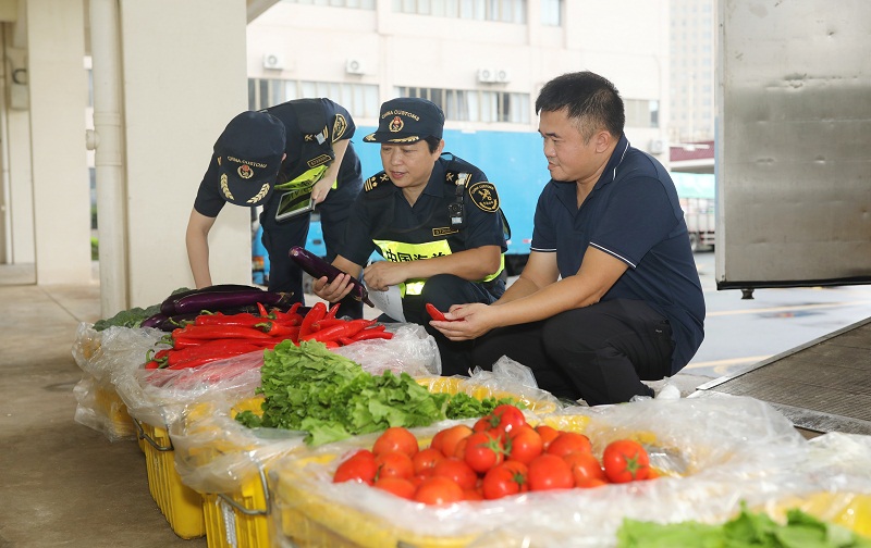 圖為：關(guān)員蘇長軍（中）和同事驗(yàn)放供澳蔬菜+俞波攝