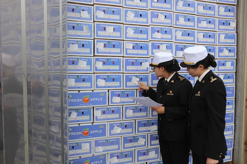 海关关员对出口鲜苹果进行现场监管