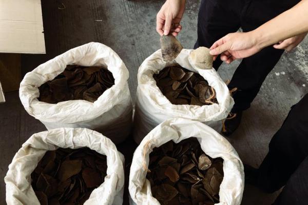 同样纸箱异样货 私货重量超1吨(图)