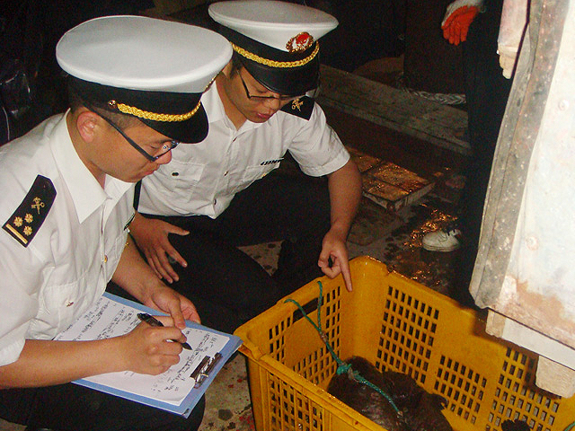 中国海关 海关法规 法规类型 法律